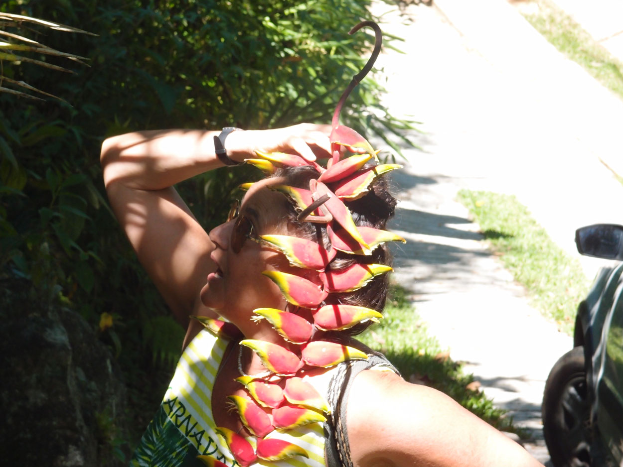 2016-02-08/09 Carneval de Galdi (Foto)